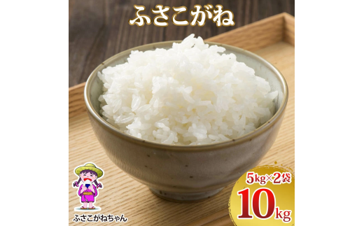 令和7年度産 ふさこがね 10kg (5kg×2)｜米 おこめ もっちり 弁当 袖ケ浦 千葉 [0500] 2269727 - 千葉県袖ケ浦市
