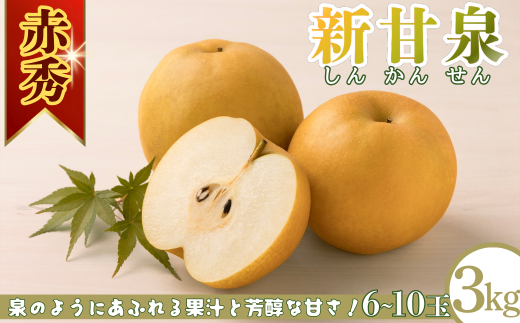 新甘泉(赤秀) 3kg「Ys Farm Tottori」【2025年発送分最終受付】【梨 なし ナシ 果物 フルーツ ギフト 先行予約 甘い 果実 果汁 デザート もぎたて 旬】
