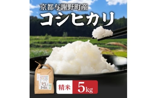 数量限定　令和7年新米　大江山蛇紋岩成分の影響を受けたミネラル豊富な棚田で育ったコシヒカリ精米5kg【1510554】