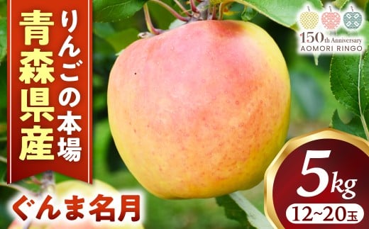 りんご【ぐんま名月】約5kg（12～20玉）【2025年産・先行予約】★2025年11月上旬～12月下旬頃まで発送予定★ りんご 林檎 リンゴ 国産 ぐんま名月 フルーツ 果物 贈答 土産 青森県 三戸町 R0113 2250236 - 青森県三戸町
