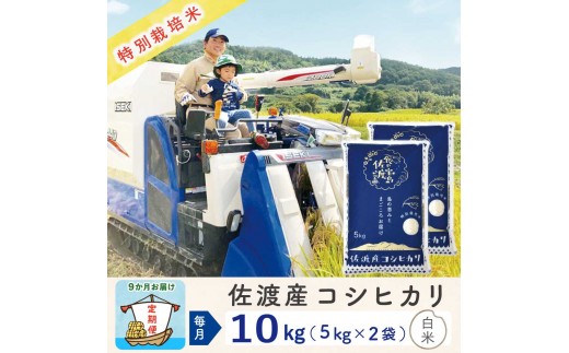 【新米予約 9か月定期便】佐渡島産コシヒカリ 白米10Kg 令和7年 特別栽培米 農家直送 2267287 - 新潟県佐渡市