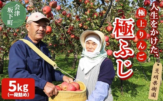 17-I [予約開始!] 荒明果樹園 人生をかけた、極上りんご(極ふじ)5kg(一段詰め) | りんご リンゴ 林檎 果物 くだもの フルーツ 福島県 会津坂下町 ※2025年11月上旬頃より順次発送予定