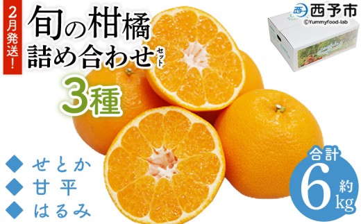 ＜2月発送！旬の柑橘 詰め合わせセット 3種×各2kg＞ 果物 フルーツ みかん ミカン 蜜柑 柑橘 オレンジ ブラッドオレンジ なつみ はるか ネーブル ポンカン 甘夏 特産品 宇都宮物産 愛媛県 西予市【常温】『2月に順次出荷予定』