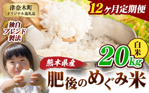 【12ヶ月定期便】白米 熊本県産 ブレンド米 肥後のめぐみ米 20kg 熊本県産 ふるさと納税 精米 米 こめ ふるさとのうぜい コメ お米 おこめ《申込月の翌月から出荷開始》