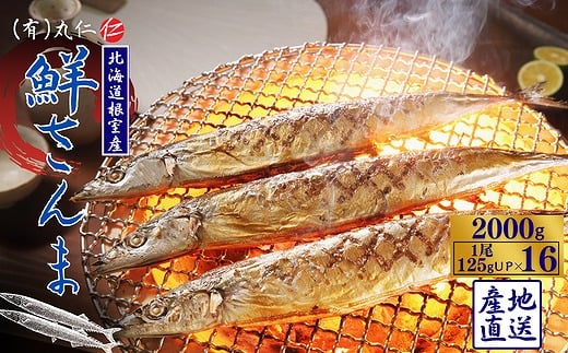 A-50020 【北海道根室産】鮮さんま16尾入(計2kg)
