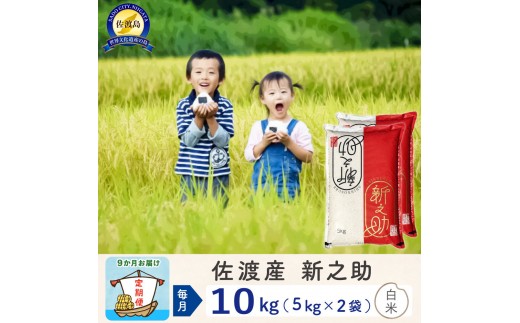 【新米予約 9か月定期便】佐渡島産 新之助 白米10Kg 令和7年 2267294 - 新潟県佐渡市