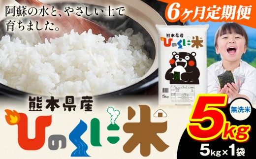 【6ヶ月定期便】 無洗米 ひのくに米 5kg 《お申込み月の翌月から出荷開始》 食品 米 こめ コメ 熊本県産 ふるさと納税 お米 おこめ 熊本