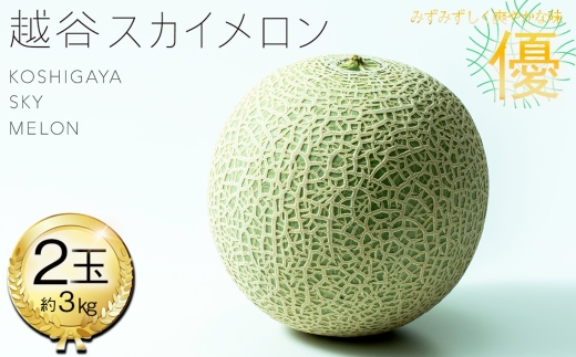 No.308 越谷スカイメロン　優2玉 ／ メロン みずみずしい 爽やかな味 美味 人気2玉 3kg 贈答品 贈り物 ギフト プレゼント フルーツ 果物 くだもの 埼玉県