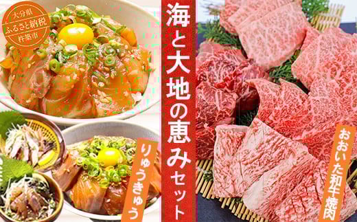 りゅうきゅう4種+おおいた和牛焼肉 [海と大地の恵みセット] 杵築市 セット ＜801-001＞