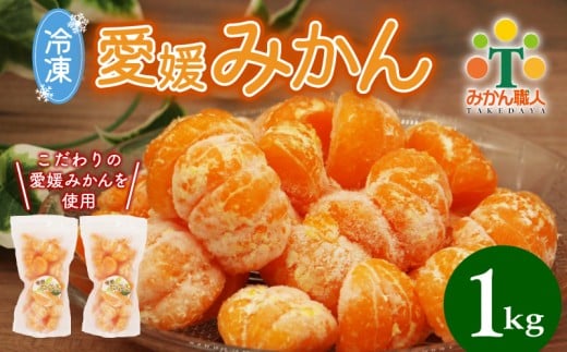 冷凍愛媛みかん 500g×2袋 冷凍みかん みかん ミカン 愛媛みかん 蜜柑 柑橘 かんきつ 冷凍ミカン 冷凍柑橘 アイス スムージー シャーベット みかん職人武田屋 愛媛県 愛南町