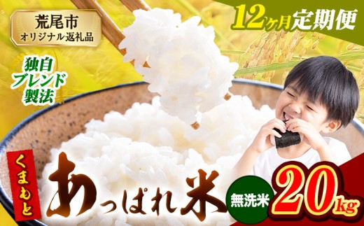 【12ヶ月定期便】熊本県産 くまもとあっぱれ米 ブレンド米 20kg 熊本県産 ふるさと納税 無洗米 精米 米 こめ ふるさとのうぜい コメ お米 おこめ《お申込み月の翌月から発送予定》