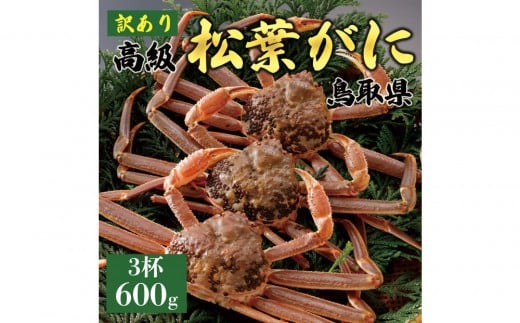 1055.【2025年11月発送】特撰 松葉がに（なま）【訳あり】600g超のサイズ 食べ応えあり 3杯