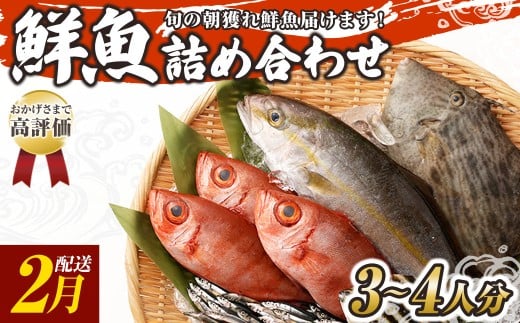 旬の朝獲れ鮮魚詰め合わせ 2月配送 鮮魚 直送 ボックス 詰め合わせ【以布利定置網　漁師直送】セット おまかせ 魚介 海鮮 魚 魚介類 海鮮セット 新鮮 天然【S00818-2】