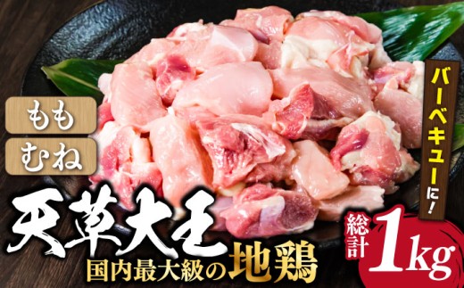【数量限定】熊本県産 天草大王 地鶏 バーベキュー用カット肉 計1kg 鶏肉 もも むね 国産 【あそ大王ファーム株式会社】[YCF004]  1023175 - 熊本県山都町