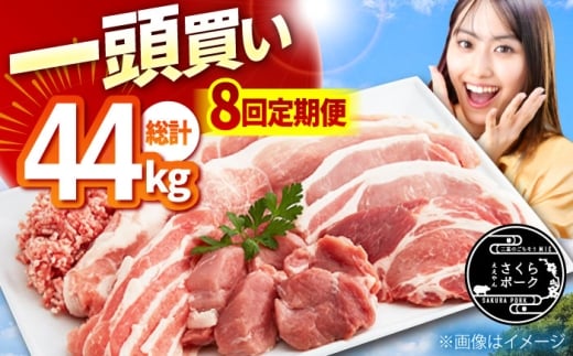 [8回定期便]一頭買い 総計44kg ええやん さくらポーク 小林ファーム /亀山市/小林ファーム [AMAB064] / 豚肉 豚 定期便 全部位 肩ロース ロース バラ モモ ヒレ フィレ