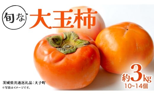 旬な大玉 柿 約3kg 10～14個 【2025年12月上旬発送開始】(茨城県共通返礼品：大子町) 柿 かき カキ 果物 フルーツ 旬 季節限定 期間限定