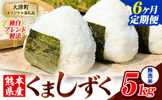 【6ヶ月定期便】無洗米 熊本県産 ブレンド米 くましずく 5kg 熊本県産 ふるさと納税 無洗米 精米 米 こめ ふるさとのうぜい コメ お米 おこめ《申込み翌月から発送》