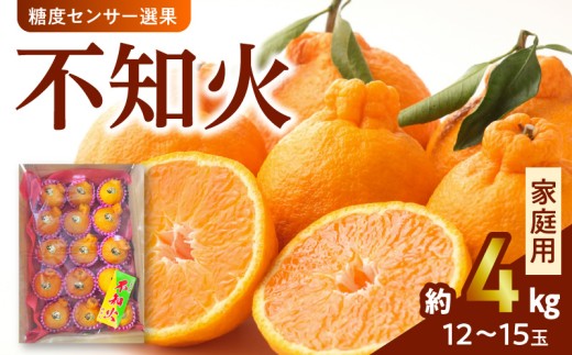 135-4　澤田果物【家庭用】糖度センサー選果 不知火 約４kg １２～１５玉