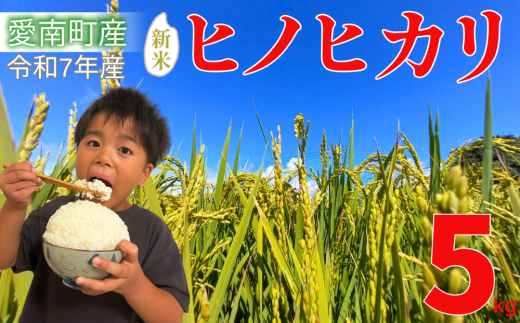 【 先行予約 】 新米 5kg 愛媛県 愛南町産 ヒノヒカリ 令和7年産 白米 精米 お米 ブランド米 送料無料 産地直送 自慢のお米 豊かな 甘み と 粘り ツヤ のある 美味しい ご飯 を ご家庭 で 冷めても 美味しい ので 毎日 の お弁当 や おにぎり にも 最適 農家 丹精 込めて 育てた 逸品 一人暮らし から ご家族 まで 楽しめる 人気 ひのひかり 愛媛県 愛南町 愛なんよ