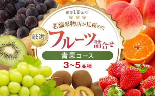 厳選フルーツ詰合せ♪【青果コース】（3～5品種）