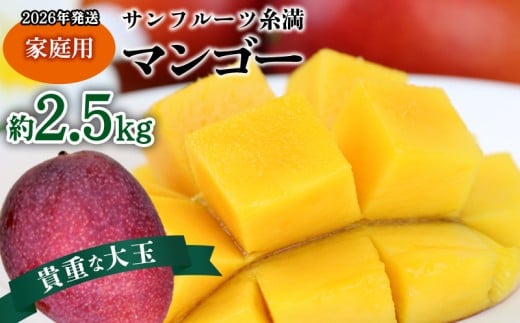 【2026年発送】サンフルーツ糸満マンゴー貴重な大玉 家庭用 約2.5kg 産地直送 先行予約 フルーツ 果物 くだもの アップルマンゴー アップル アーウィン種 濃厚 デザート 贅沢 旬の果物 甘い おすすめ プレゼント 贈答 冷蔵 国産 沖縄 沖縄県産 2141892 - 沖縄県宜野座村