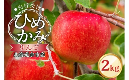 【先行予約：2025年10月中旬より発送】りんご（ひめかみ）2kg【北海道余市町産】