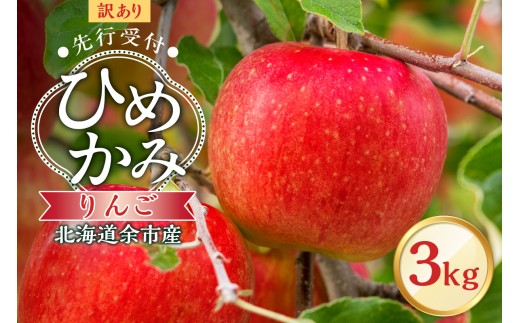 【先行予約：2025年10月中旬より発送】訳アリ りんご（ひめかみ）3kg【北海道余市町産】