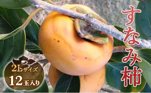 瑞穂市発祥の希少甘柿 すなみ柿 贈答用 ※2025年11月中旬頃より順次発送予定