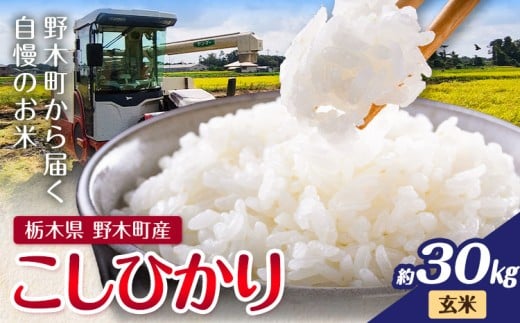 米 令和7年産 お米 コシヒカリ こしひかり 30kg 玄米 鈴木農園《30日以内に出荷予定(土日祝除く)》 栃木県 野木町産 栃木県 野木町産 