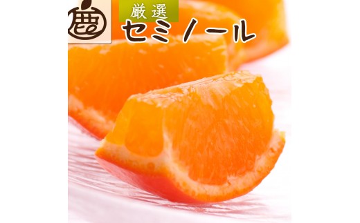 厳選 セミノールオレンジ 1kg+250g（傷み補償分）【春みかん】【有田産】【光センサー食べ頃出荷】 ［IKE275］