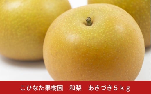 あきづき ５㎏ [2025年発送分] 令和７年産 和梨 新潟 三条 燕三条 果物 贈答用  [こひなた果樹園] 【014S159】
