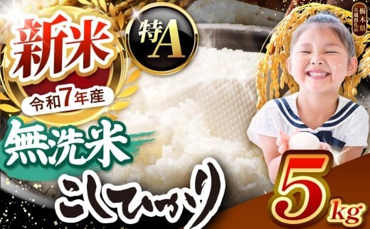 【令和7年度新米先行予約】栃木県産コシヒカリ 無洗米 5kg【栃木県共通返礼品】 | お米 米 こめ 洗米 新米 無洗米 コシヒカリ こしひかり 美味しい お弁当 選べる ふるさと 納税 栃木県 矢板市
