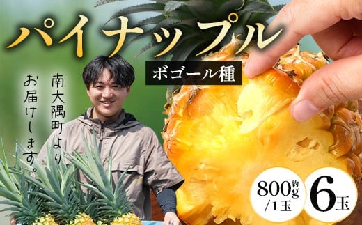 【先行受付】パイナップル/ボゴール種 (約800g×6玉) ≪2026年7月下旬以降順次発送≫ DS-1 ｜パイン パインアップル フルーツ ボゴールパイン スナックパイン 産地直送 旬 送料無料 鹿児島県 南大隅町 株式会社デラセーラ