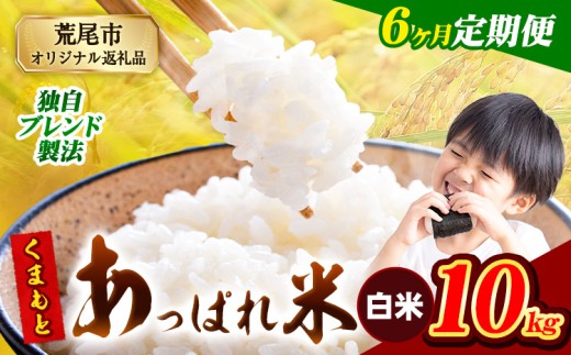 【6ヶ月定期便】熊本県産 くまもとあっぱれ米 ブレンド米 10kg 熊本県産 ふるさと納税 白米 精米 米 こめ ふるさとのうぜい コメ お米 おこめ《お申込み月の翌月から発送予定》
