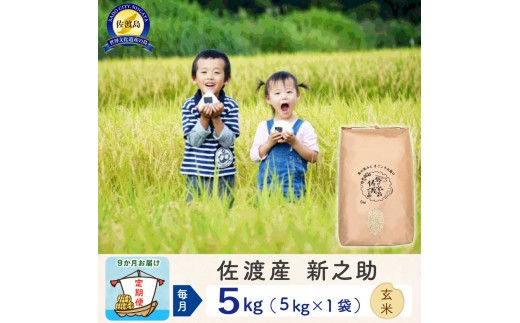 【新米予約 9か月定期便】佐渡島産 新之助 玄米5Kg 令和7年 2267293 - 新潟県佐渡市