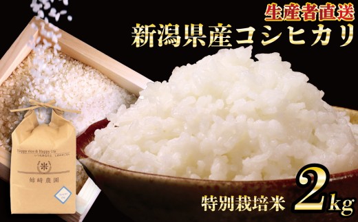 【先行予約】 令和7年産 コシヒカリ 特別栽培米 2kg 新米 白米 米 こしひかり こめ ごはん おにぎり お弁当 農家直送 産地直送 ふるさと納税 姉﨑農園 新潟産 新潟県 新発田市 anezaki007 2115391 - 新潟県新発田市