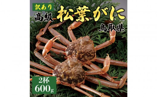 1054.【2025年11月発送】特撰 松葉がに（なま）【訳あり】600g超のサイズ 食べ応えあり 2杯