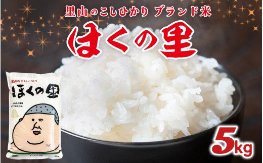 【先行予約】里山のこしひかり ほくの里 5kg × 1袋【12月配送】 | 