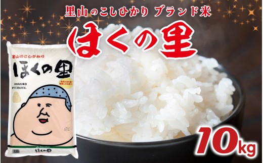 【先行予約】里山のこしひかり ほくの里 10kg × 1袋【2月配送】 | 