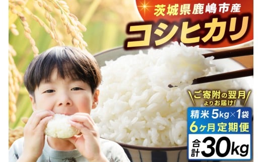 【6ヶ月定期便】★新米 令和7年★ 米 精米 白米 5kg (総計 30kg)「こしひかり」先行予約 鹿嶋市産【令和7年産 コシヒカリ お米 コメ ごはん ライス ブランド米 茨城県 鹿嶋市】(KEJ-5)