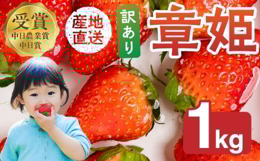 ≪先行予約！≫ 章姫 訳ありいちご 計1kg ( 約250g × 4 ) いちご イチゴ 苺 あきひめ フルーツ 旬 果物 デザート おやつ 採れたて 10000円 1万円 ショートケーキ フルーツサンド にも スイーツ 産地直送 完熟 農家直送 国産 冷蔵 愛知県 豊橋市 豊橋 わけあり 規格外