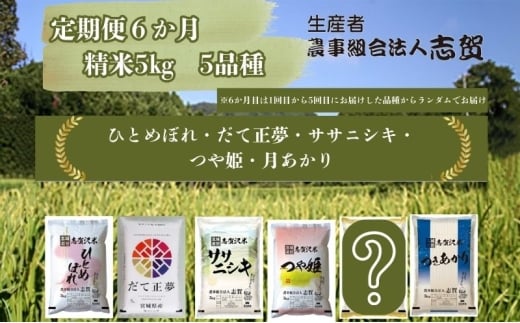 【訳アリ/令和7年産新米】米 定期便 6ヶ月 おまかせセット 5kg 志賀沢米 ひとめぼれ だて正夢 ササニシキ つや姫 つきあかり　6回目は品種おまかせ お米 白米 精米 ブランド米 5キロ ご飯 ライス 宮城 岩沼[№5704-1812]