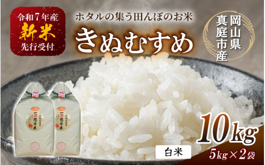 【令和7年産先行予約】令和７年新米 真庭市産 きぬむすめ 白米 10kg / お米 国産 岡山県 真庭市 白米 米 きぬむすめ キヌムスメ 人気 ブランド米 新米 先行予約 令和7年産 2025年産