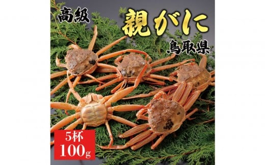 1071.【2025年11月発送】鳥取県産 特撰 親がに 姿【セコガニ】（なま）【訳あり】100g 5杯