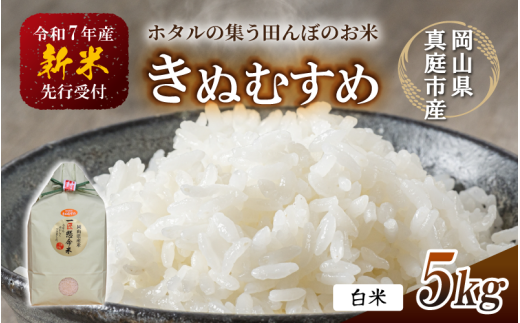 【令和7年産先行予約】令和７年新米 真庭市産 きぬむすめ 白米 ５kg / お米 国産 岡山県 真庭市 白米 米 きぬむすめ キヌムスメ 人気 ブランド米 新米 先行予約 令和7年産 2025年産