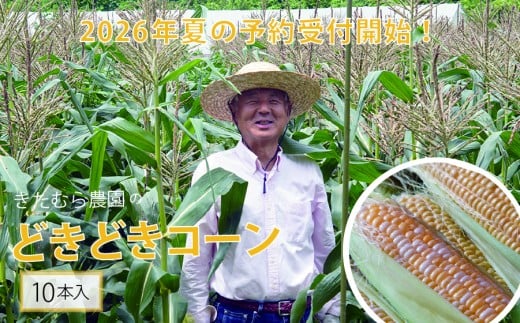 2026年夏の早期予約受付開始！きたむら農園『どきどきコーン』×10本セット（約4～4.2kg相当） 生で食べられる信濃町名産とうもろこし／スイートコーンの定番品種 令和8年7月下旬～8月下旬に出荷予定 【長野県信濃町ふるさと納税】 1366445 - 長野県信濃町
