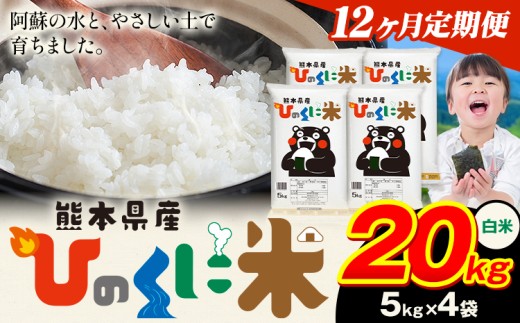 【12ヶ月定期便】 白米 ひのくに米 20kg 《お申込み月の翌月から出荷開始》 食品 米 こめ コメ 熊本県産 ふるさと納税 お米 おこめ 熊本