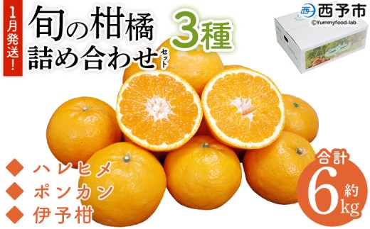 ＜1月発送！旬の柑橘 詰め合わせセット 3種×各2kg＞ 果物 フルーツ みかん ミカン 蜜柑 柑橘 オレンジ ブラッドオレンジ なつみ はるか ネーブル ポンカン 甘夏 特産品 宇都宮物産 愛媛県 西予市【常温】『1月に順次出荷予定』