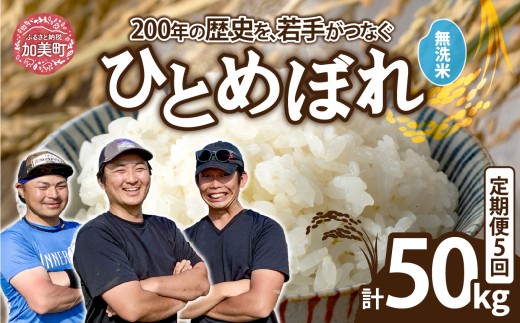 【無洗米】【10kg×5回 計50kg】 米 宮城県産 ひとめぼれ 10kg 定期便 《 令和7年産 新米 》 白米 精米 ご飯 ごはん コメ こめ お米 小分け 家庭用 結心ファーム [ 宮城県 加美町 ] 2268543 - 宮城県加美町