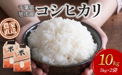 【 訳あり 】 【 先行予約 】 米 10kg ( 5kg × 2袋 ) コシヒカリ 令和7年度 新米 こめ おこめ ごはん 白米 お米 精米 農家直送 朝食 おにぎり こしひかり 千葉米 国産 食品 備蓄 防災 お取り寄せ ふるさと納税 ふるさと納税米 送料無料 千葉県 旭市 まる吉園 mkn002